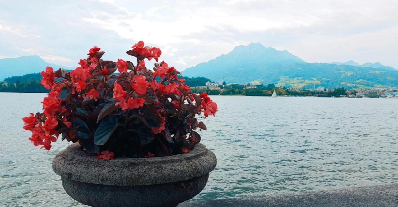 Priv. Apartment Bei Swiss Holiday Park Morschach Esterno foto